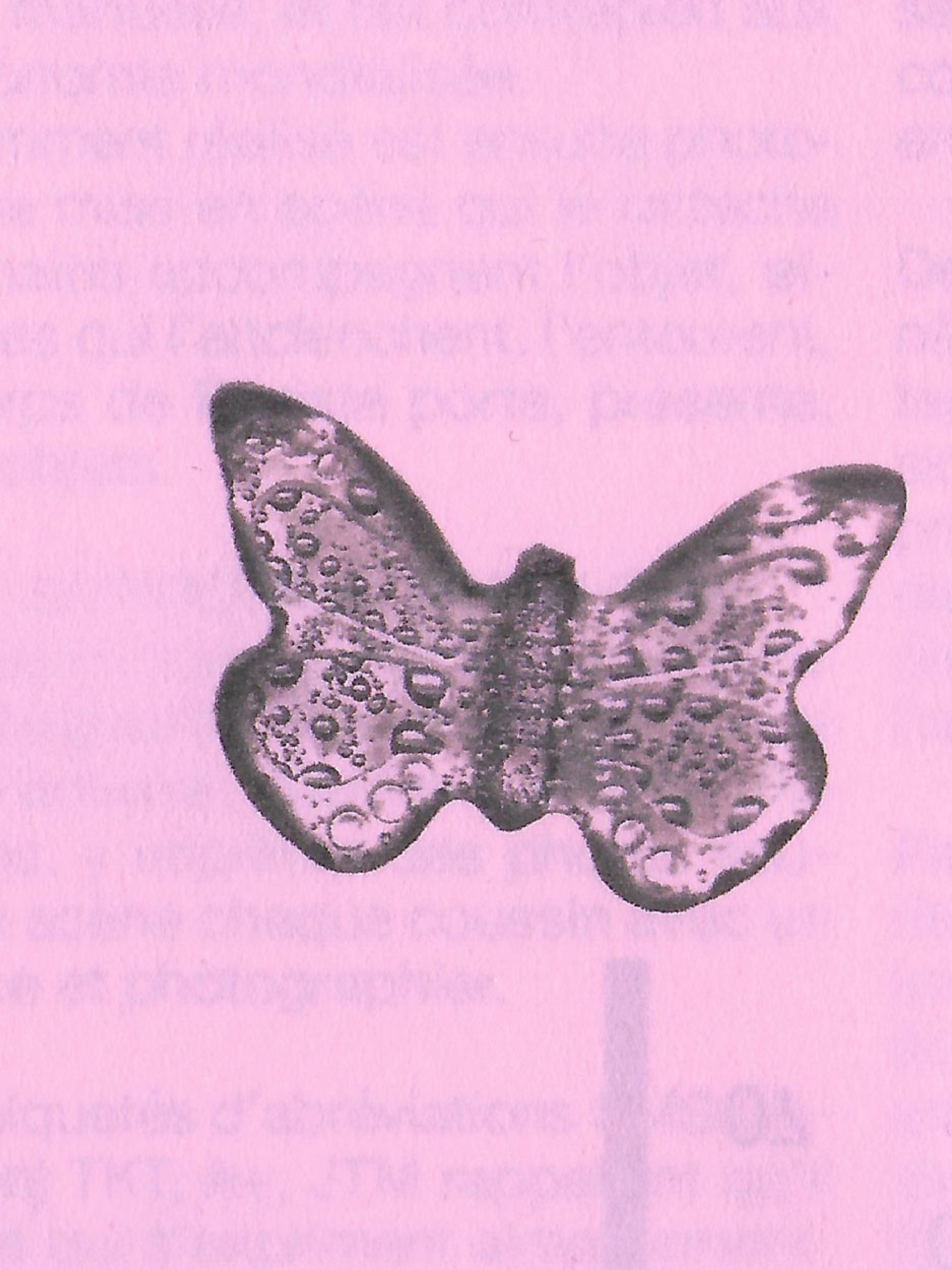 Projet Traduir 13